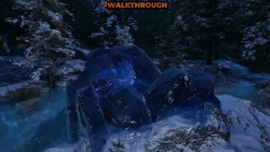 چگونه می توان اشکهای گاریدان را در فراموشی دوباره گرفت