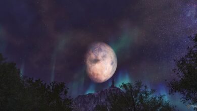 چگونه می توان بازی بازسازی شده فراموشی خود را واقع بینانه تر کرد