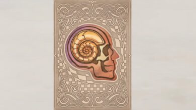 چگونه می توان سنگ Welkynd را در Oblivion Remastered دریافت کرد