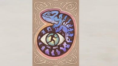 چگونه می توان سکه مارانا ریان را در فراموشی Remastered دزدی کرد