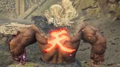 چگونه می توان لباس جنگنده خیابان Akuma را در Monster Hunter Wilds باز کرد