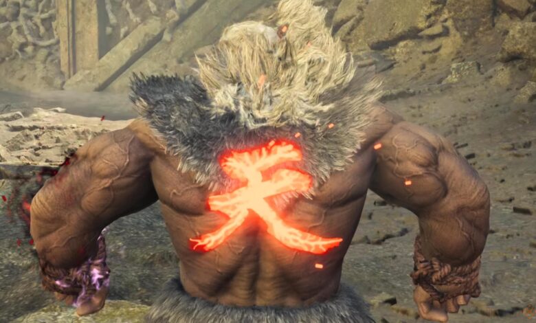 چگونه می توان لباس جنگنده خیابان Akuma را در Monster Hunter Wilds باز کرد چگونه می توان لباس جنگنده خیابان Akuma را در Monster Hunter Wilds باز کرد