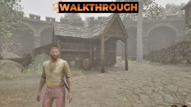 چگونه وارد برج جادوگر Bravil در Oblivion Remaster شود