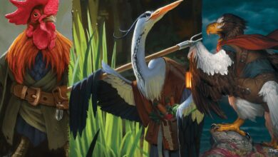 چگونه گونه های Birdfolk در Humblewood در DND کار می کنند