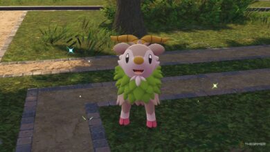 ساده ترین مناطق وحشی برای شکار براق در Pokemon Legends: ZA