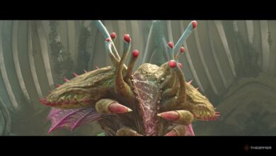 چگونه Carvex را در Metroid Prime 4 شکست دهیم: Beyond