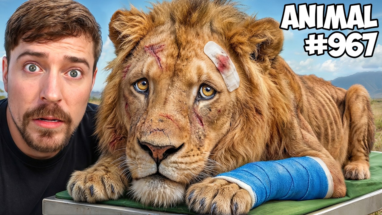 چگونه کانال یوتیوب را در سال 2026 رشد دهیم 1 پخش کننده ویدیو یوتیوب