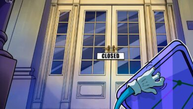 Rodeo دومین پلتفرم NFT است که در این هفته بسته شدن را اعلام می کند