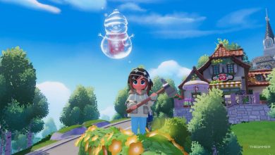 همه مکان های حباب آدم برفی در Heartopia