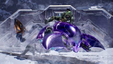 چند سطح در Halo: Campaign Evolved وجود دارد؟