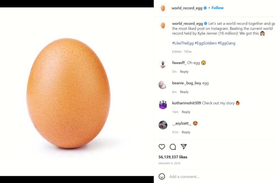 عکس یک تخم مرغ