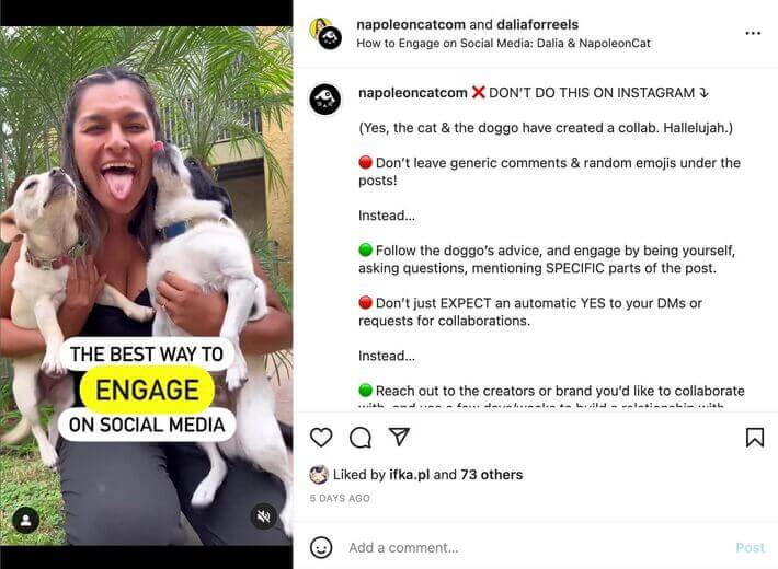 How to Collab Post on Instagram - پست Collab در حساب اینستاگرام NapoleonCat