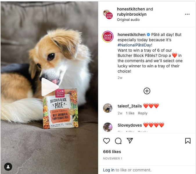 پست همکاری اینستاگرامی بین Honest Kitchen و Ruby در بروکلین که سگ کوچکی را در حال خوردن از یک کیسه غذا به تصویر می کشد.